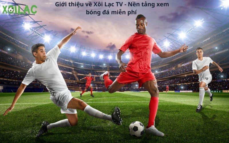 Xoilac 14 TV: Đánh giá chi tiết về dòng TV mới nhất